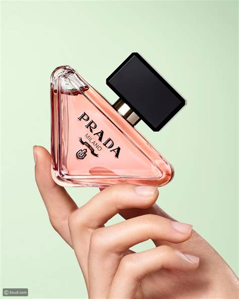 prada paradoxe parfum fragrantica|Prada paradoxe 2022 femme.